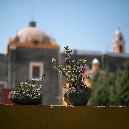 Majikal B&B - La Doña Cholula Exterior foto